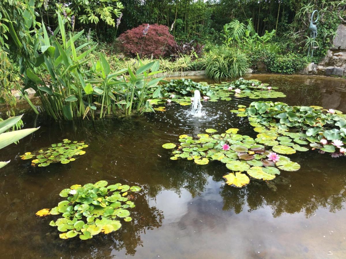 Quinta Das Pedras Belas Esterno foto